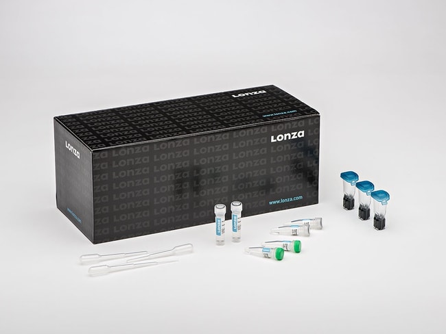 Lonza™ P2 Primary Cell 4D-Nucleofector™ X Kit L