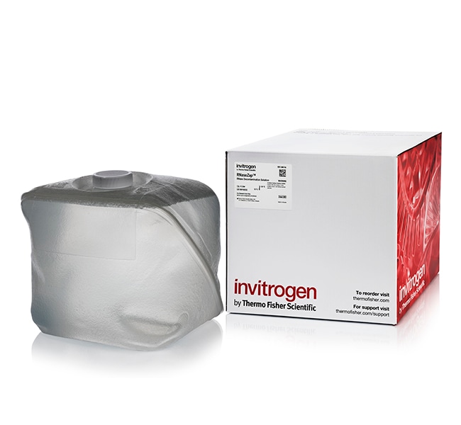 Invitrogen™ Solution de décontamination aux RNases RNase<i>Zap</i>™