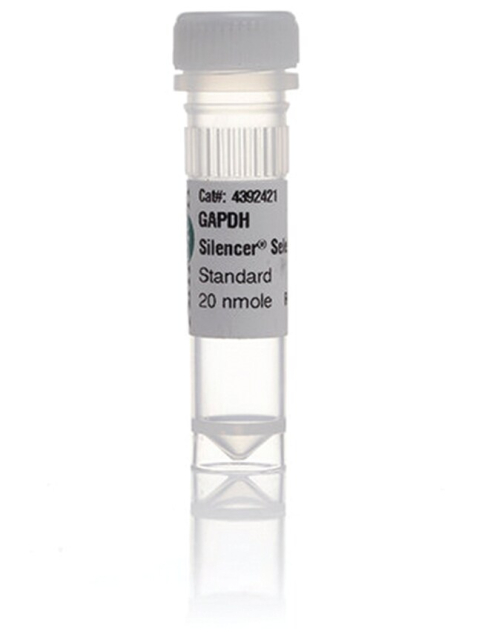 Ambion&trade;&nbsp;ARNic préconçu Silencer&trade; Select