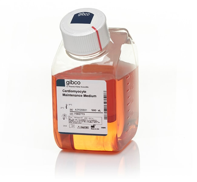 Gibco&amp;trade;&amp;nbsp;PSC Cardiomyocyte Maintenance Medium