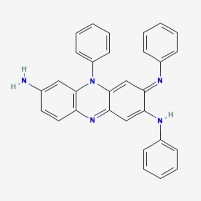MP Biomedicals&trade;&nbsp;Colorant à la nigrosine