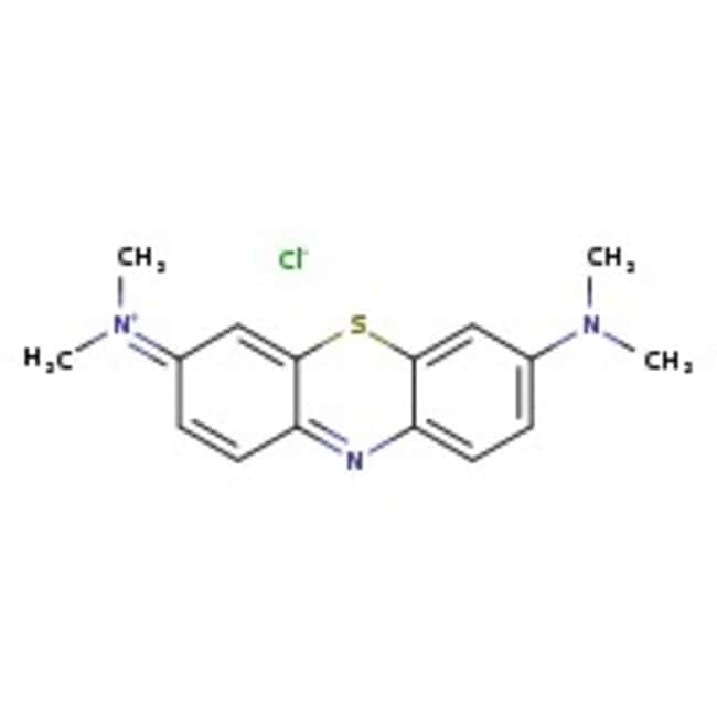 Thermo Scientific Chemicals&nbsp;Bleu de méthylène, 1 % p/v de solution aqueuse