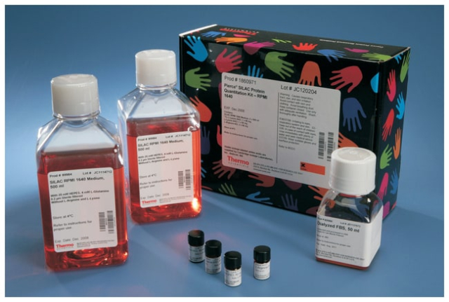 Thermo Scientific&amp;trade;&amp;nbsp;Pierce&amp;trade; SILAC Protein Quantitation Kits