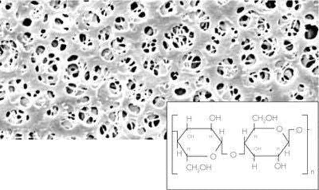 Sartorius&trade;&nbsp;Filtres à membrane en cellulose régénérée (RC) non stériles série 18406