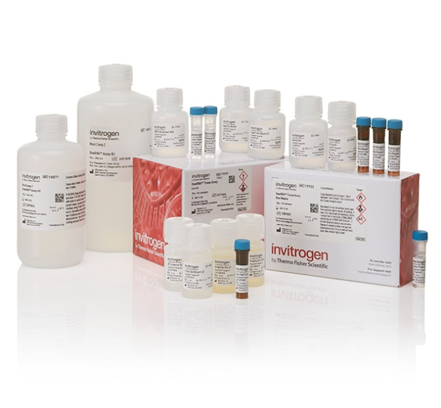 Invitrogen&amp;trade;&amp;nbsp;ViewRNA&amp;trade; Tissue Assay Core Kit