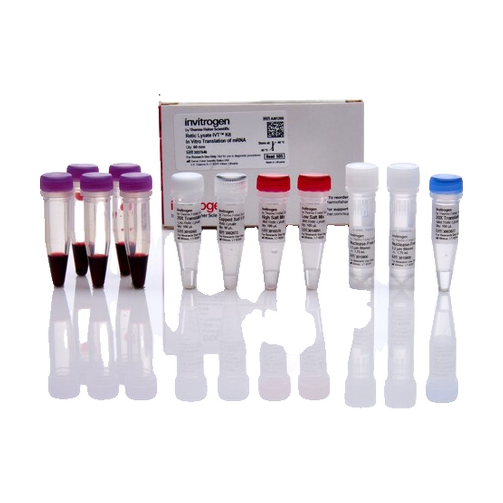Invitrogen&trade;&nbsp;Retic Lysate IVT&trade; Kit