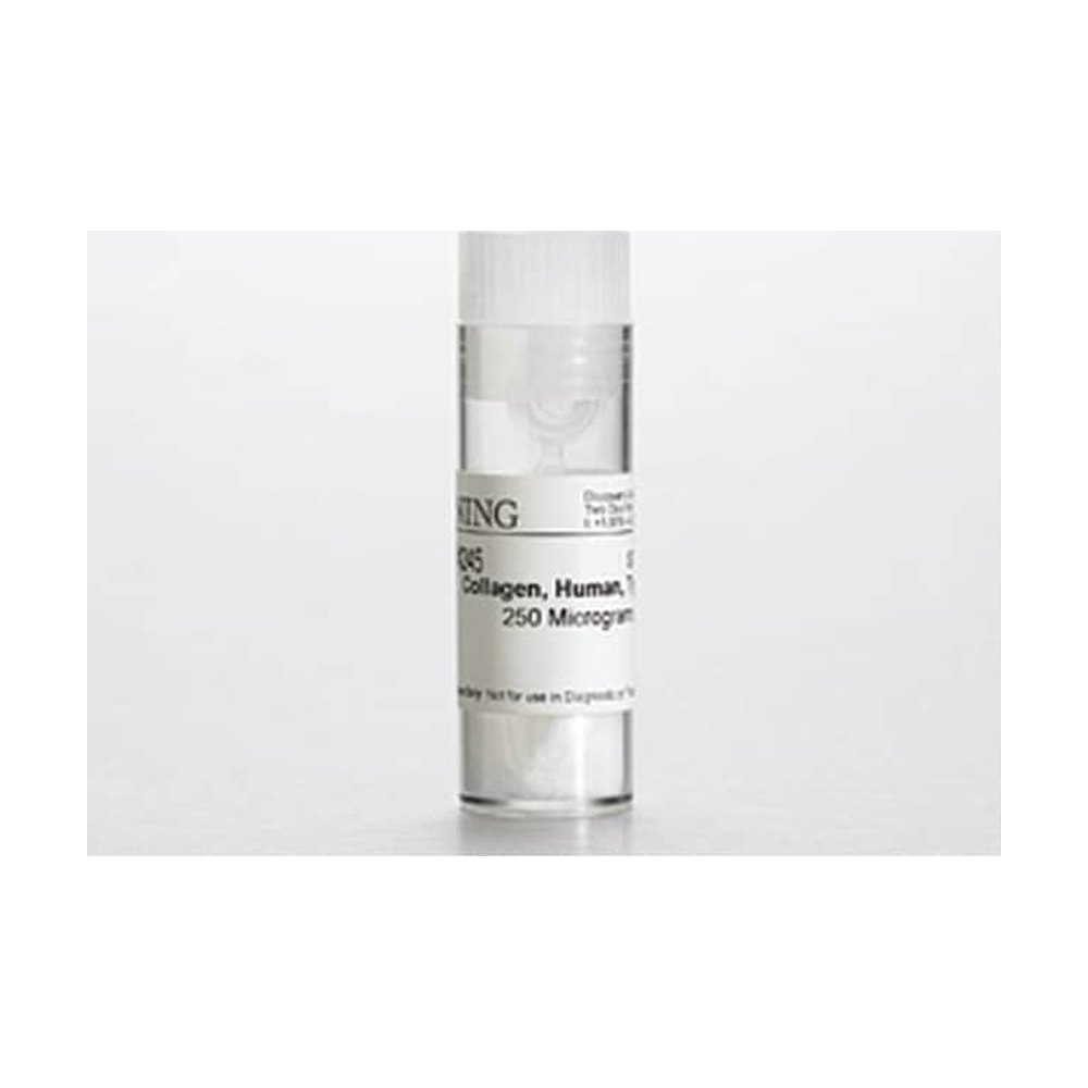 Corning&trade;&nbsp;Collagen IV, Human