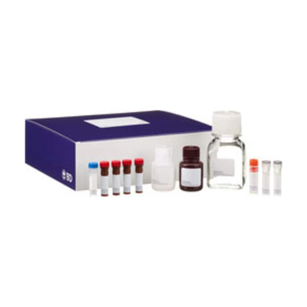 BD&nbsp;Kit de démarrage pour coloration de CytoKine intracellulaire humaine