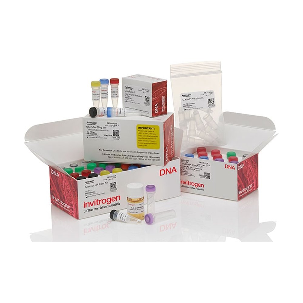 Invitrogen&trade;&nbsp;GeneRacer&trade; Kit with SuperScript&trade; III RT and Zero Blunt&trade; TOPO&trade; PCR Cloning Kit for Sequencing