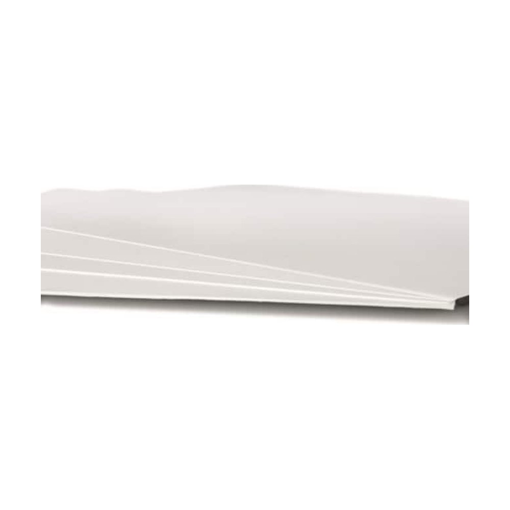Sartorius Stedim Biotech&trade;&nbsp;Filtres en microfibre de verre, grade MGC