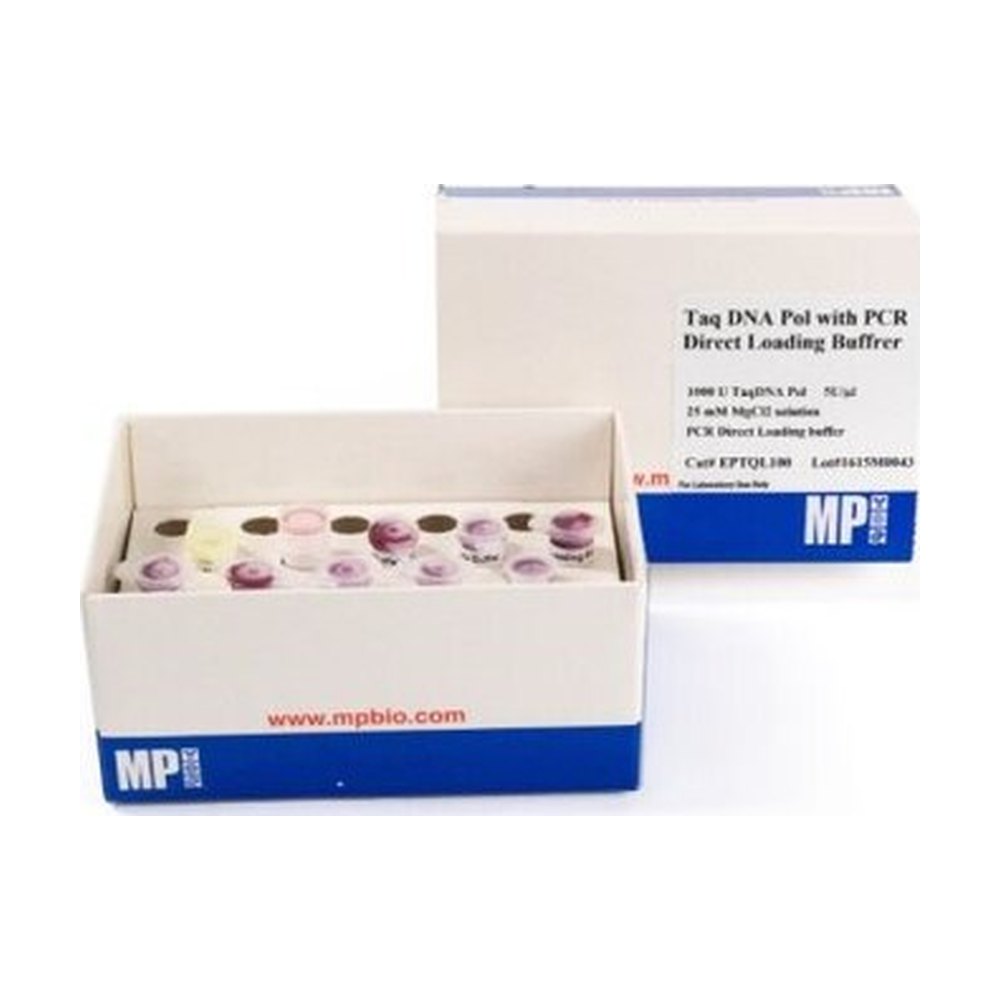 MP BIOMEDICALS Taq DNA Polymerase