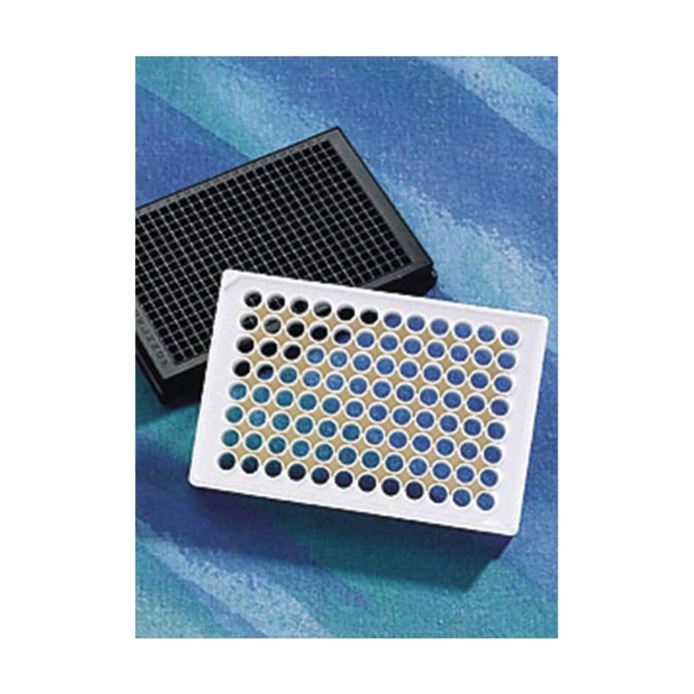 Corning&trade;&nbsp;Microplaque à fond plat traitée à la Poly-L-lysine à 96 puits