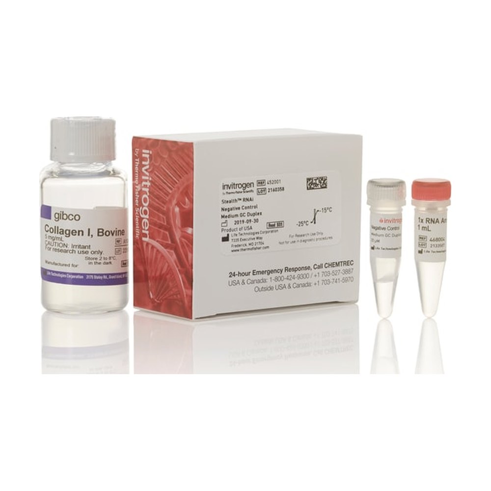 Gibco&trade;&nbsp;Collagen I, bovine