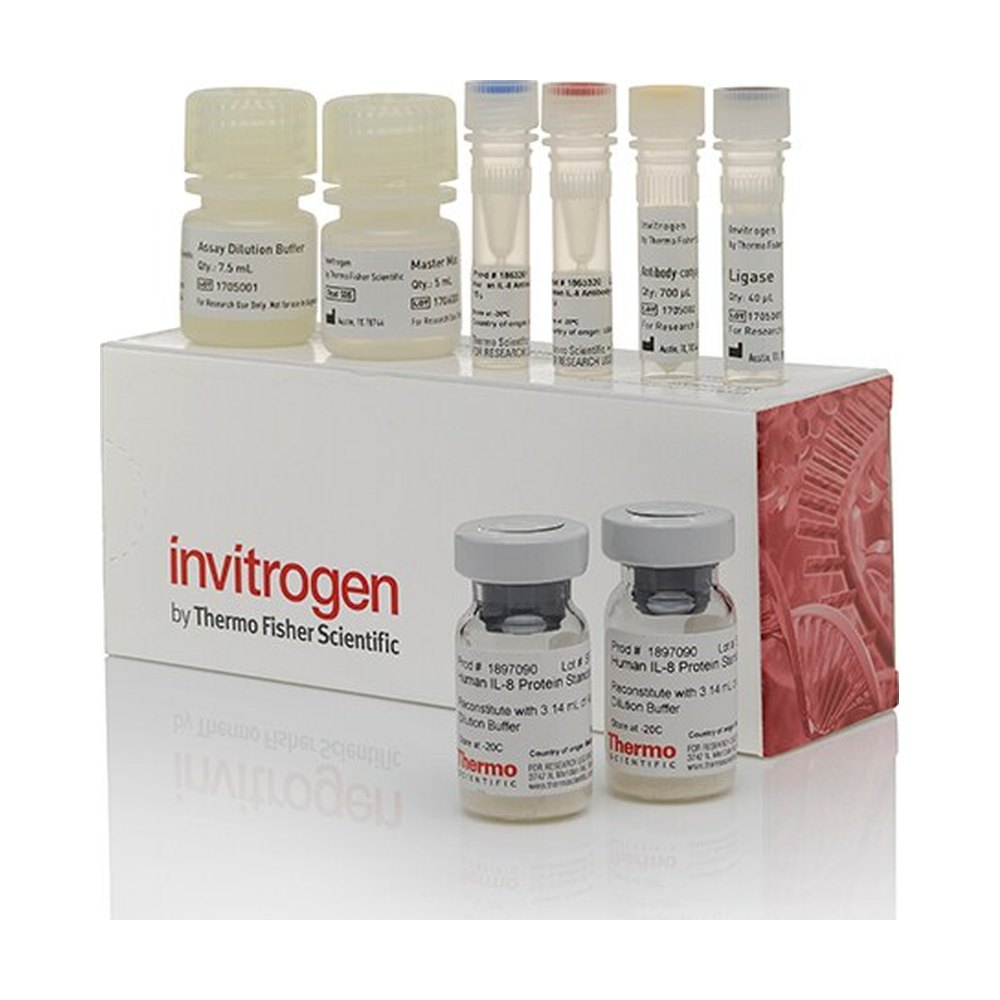 Invitrogen&trade;&nbsp;Kit d’immunoessai ProQuantum&trade; Human IFN&gamma;