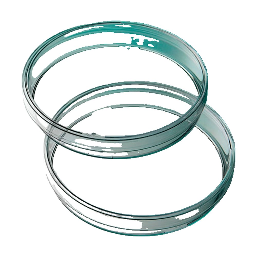 Gosselin&trade;&nbsp;Boîtes de Petri Gosselin&trade; 100 x 15 mm