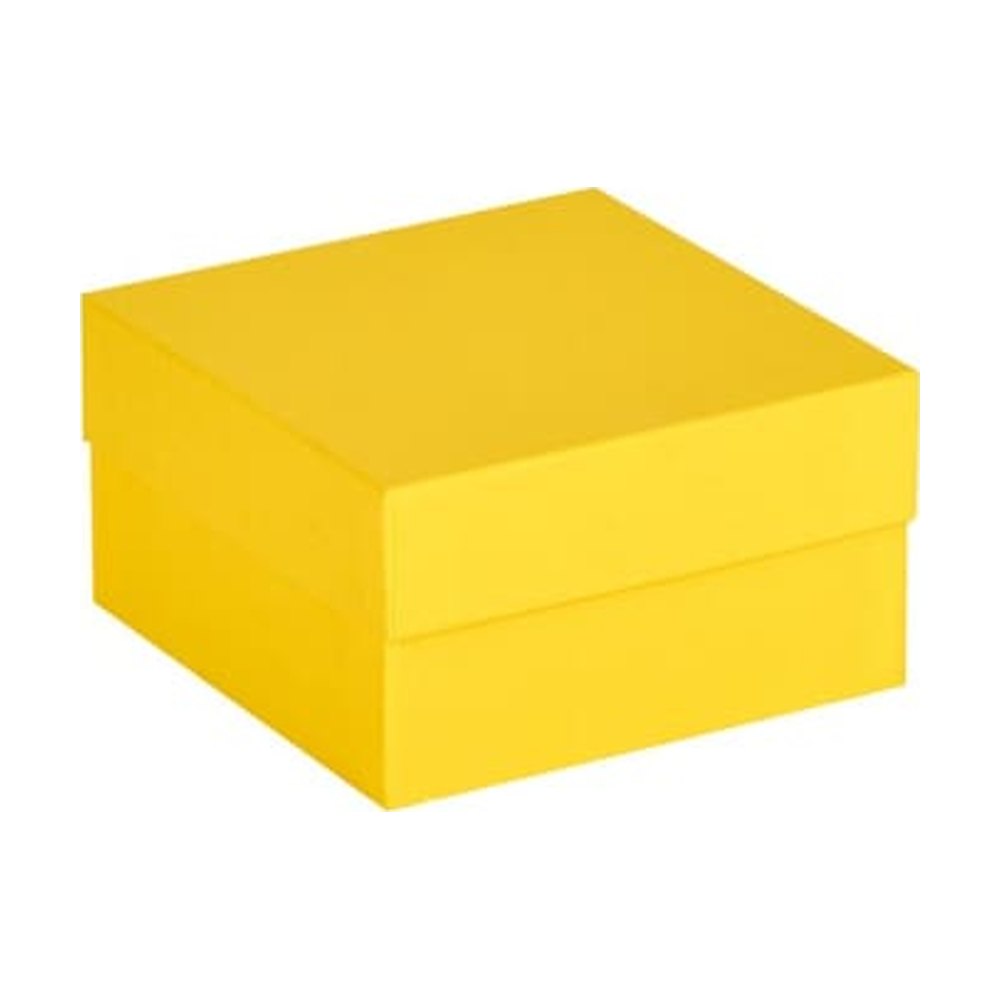 Fisherbrand&trade;&nbsp;Cryoboîtes en carton, 136 mm