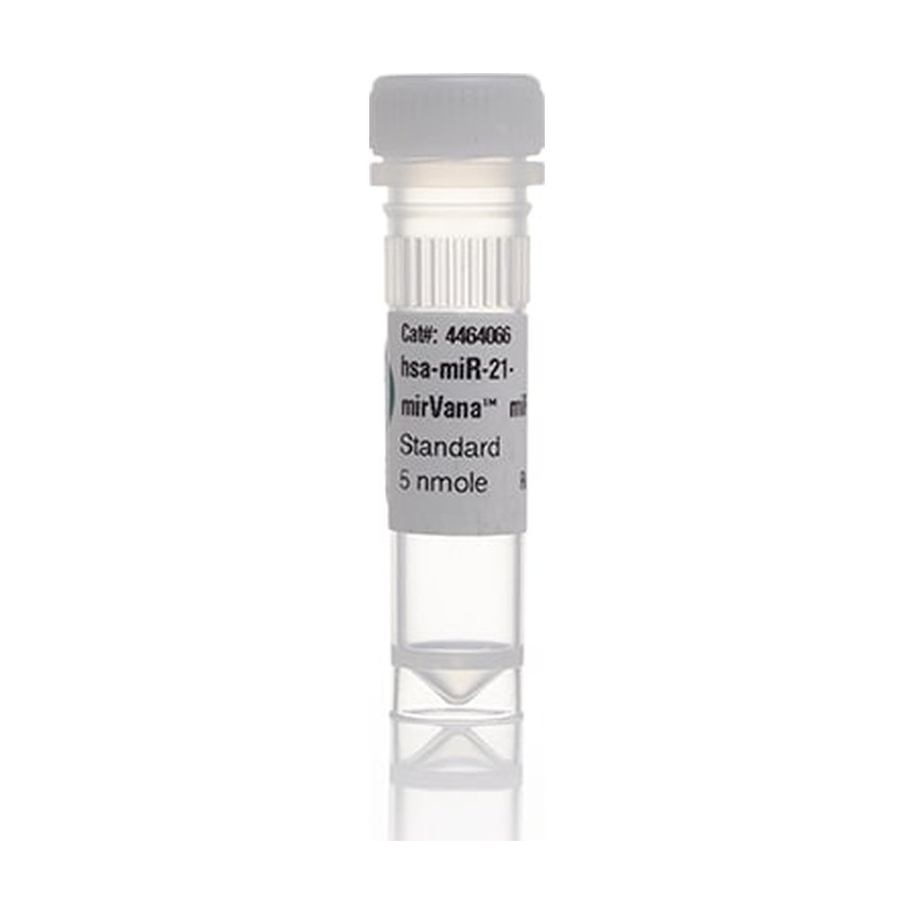 Ambion&trade;&nbsp;<i>mir</i>Vana&trade; miRNA Mimic