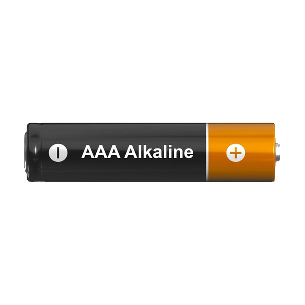 Fisherbrand™ Batteries de rechange pour hygromètre