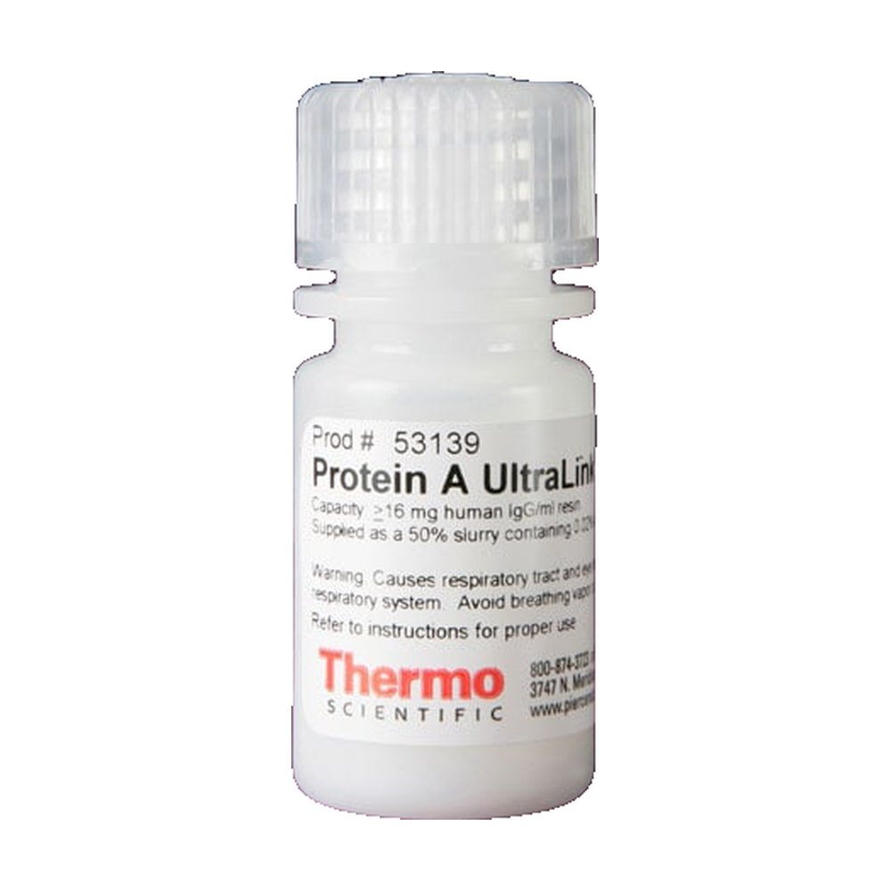 Thermo Scientific&trade;&nbsp;Pierce&trade; Protein A UltraLink&trade; Resin