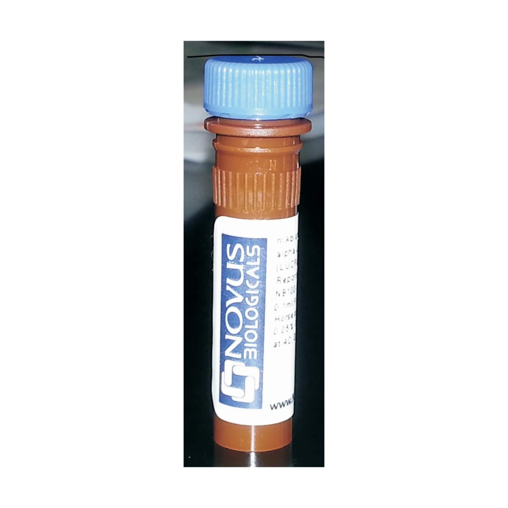 Novus Biologicals&trade;&nbsp;Antigène protéique recombinant UBE2R1/CDC34