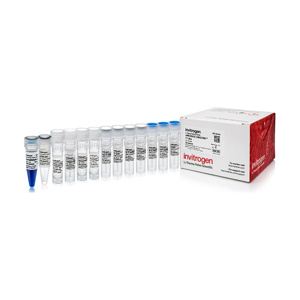 Invitrogen&trade;&nbsp;mMESSAGE mMACHINE&trade; T7 ULTRA Transcription Kit