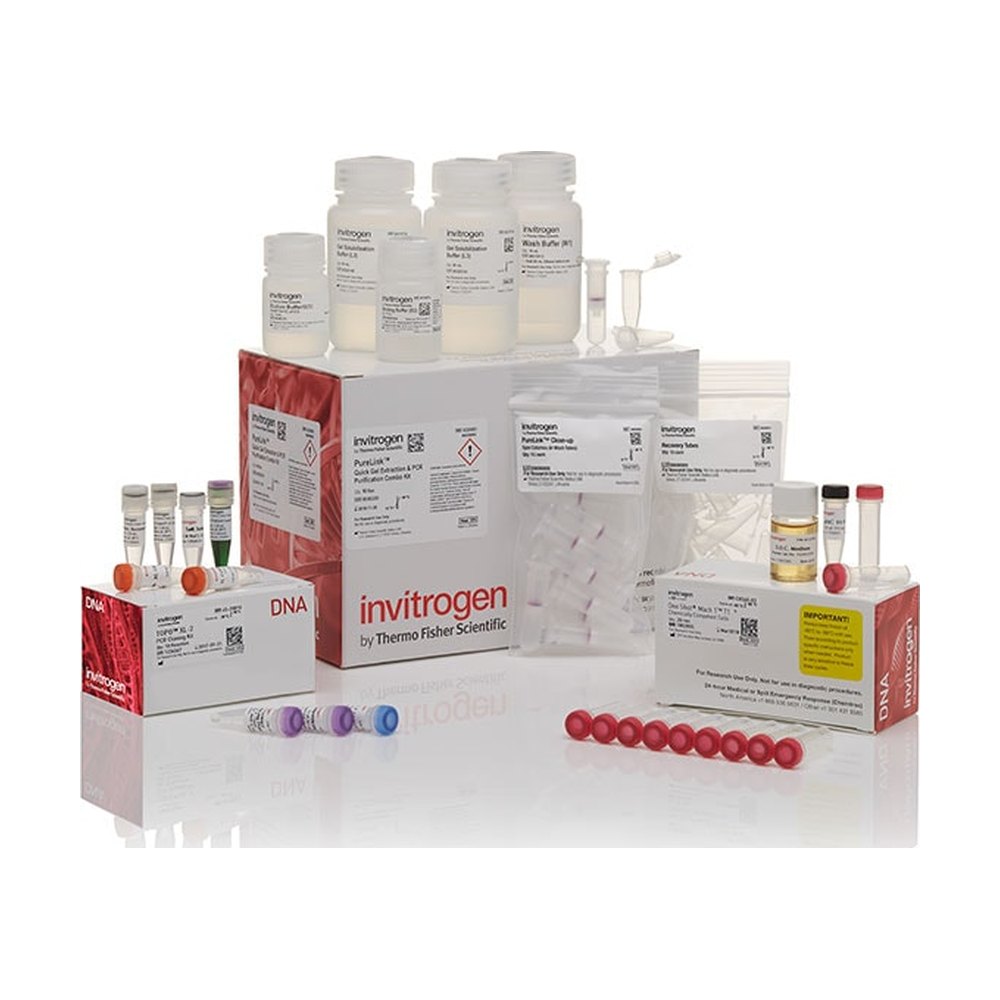 Invitrogen&trade;&nbsp;TOPO&trade; XL-2 Complete PCR Cloning Kit, with One Shot&trade; OmniMAX&trade; 2 T1<sup>R</sup> Chemically Competent E. coli Cells