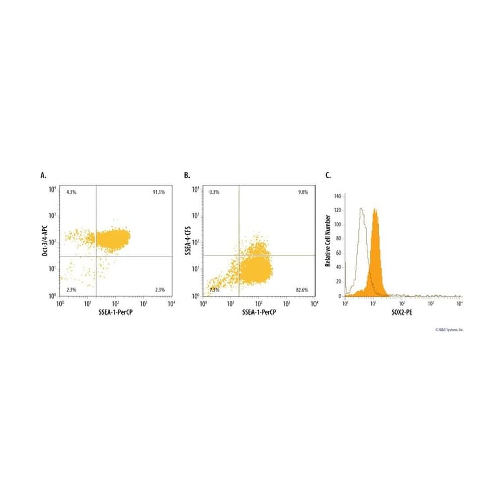 R&amp;D Systems&trade;&nbsp;H/M Pluripotent Stem Cell Multi-Color Flow Cytometry Kit