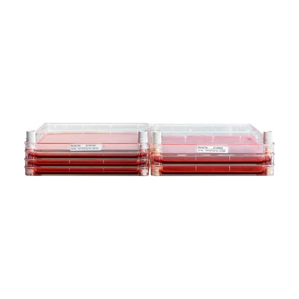 Thermo Scientific&trade;&nbsp;Systèmes Nunc&trade; Cell Factory&trade; haute densité