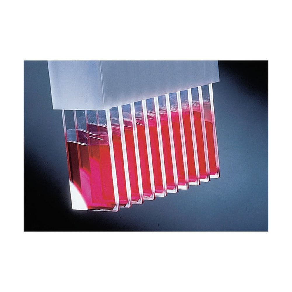 Fisherbrand&trade;&nbsp;Lames FisherBiotech&trade; ProbeOn&trade; et ProbeOn Plus&trade;