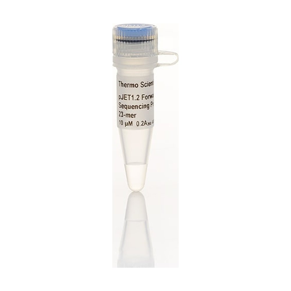 Thermo Scientific™ pJET1.2 Forward Sequencing Primer, 23-mer
