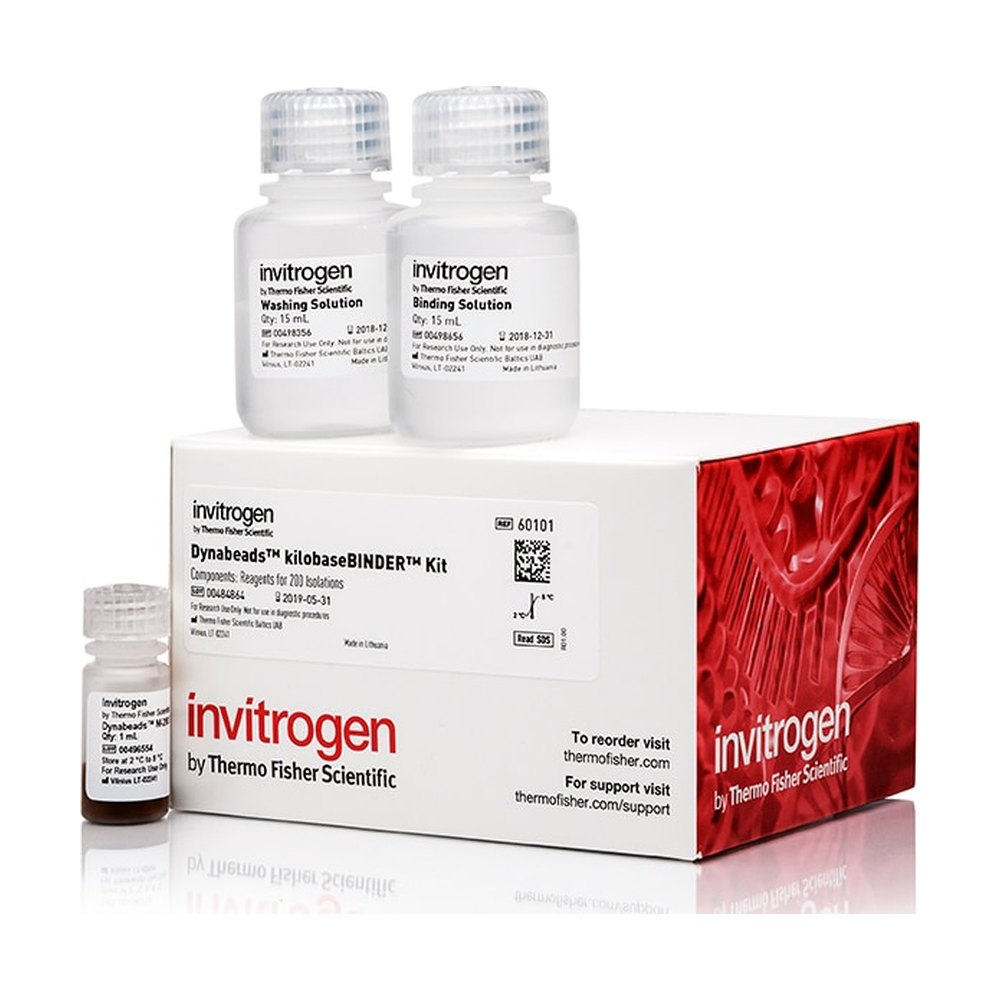 Invitrogen&trade;&nbsp;Dynabeads&trade; kilobaseBINDER&trade; Kit