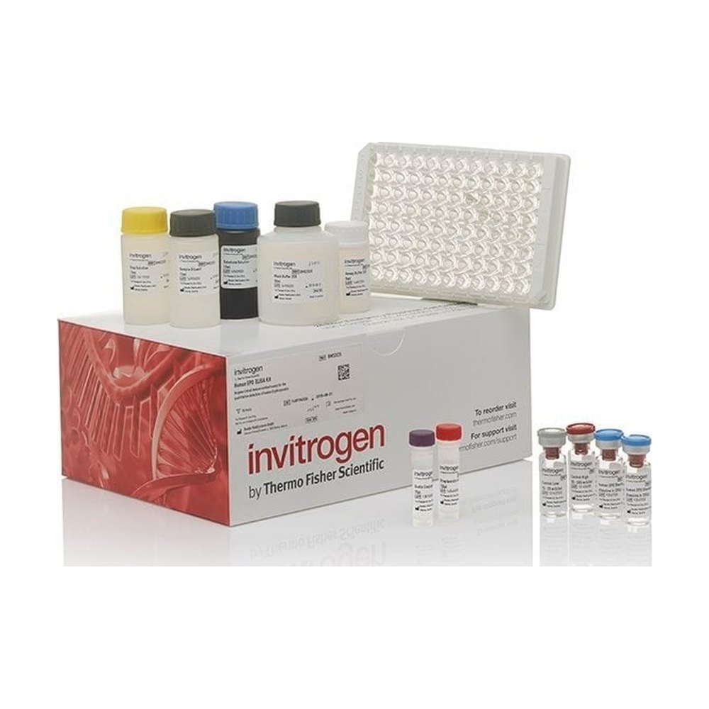 Invitrogen™ Mouse HGFR/MET ELISA Kit