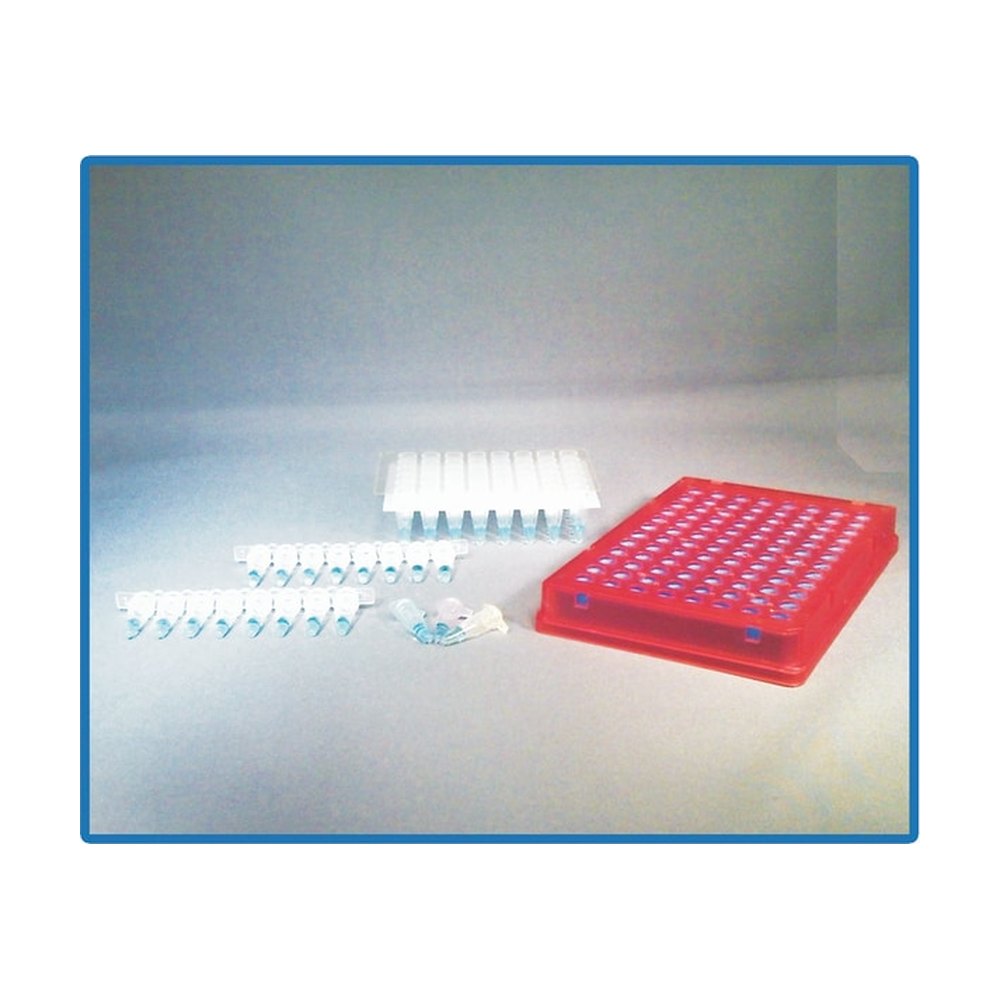 Fisherbrand&trade;&nbsp;Adaptateur pour demi-plaques, barrettes et tubes