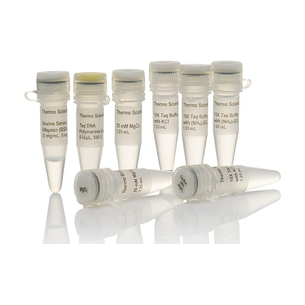 Thermo Scientific&trade;&nbsp;Taq DNA Polymerase, native (5 U/&mu;L)