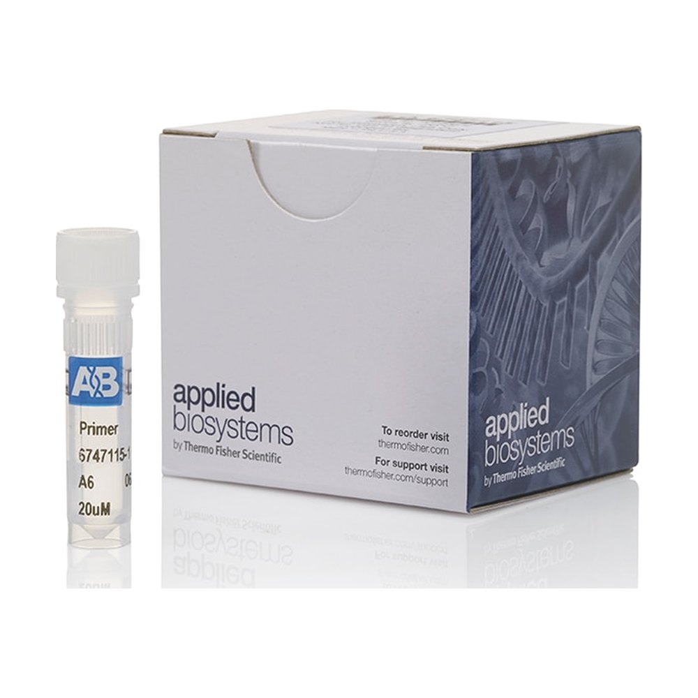 Applied Biosystems&trade;&nbsp;Amorce de détection de séquence