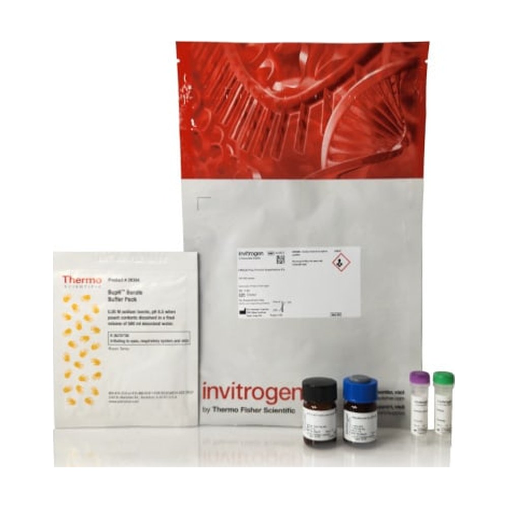 Invitrogen&trade;&nbsp;CBQCA Plus Protein Quantitation Kit