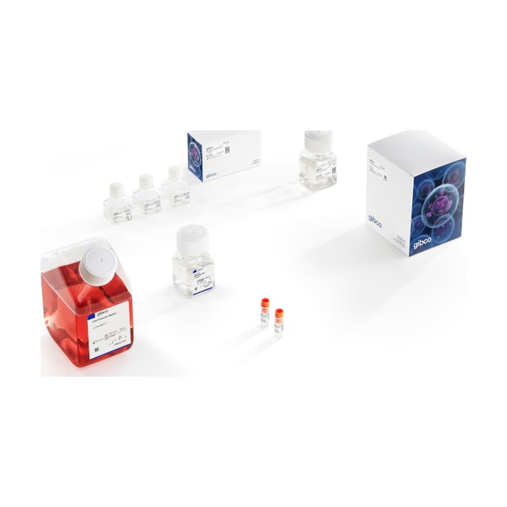 Gibco&trade;&nbsp;AAV-MAX Helper-Free AAV Production System Kit