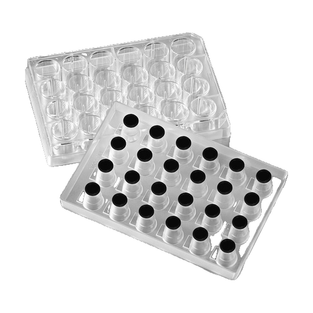 Falcon&trade;&nbsp;Systèmes d’inserts pour culture cellulaire à 24 puits FluoroBlok&trade;