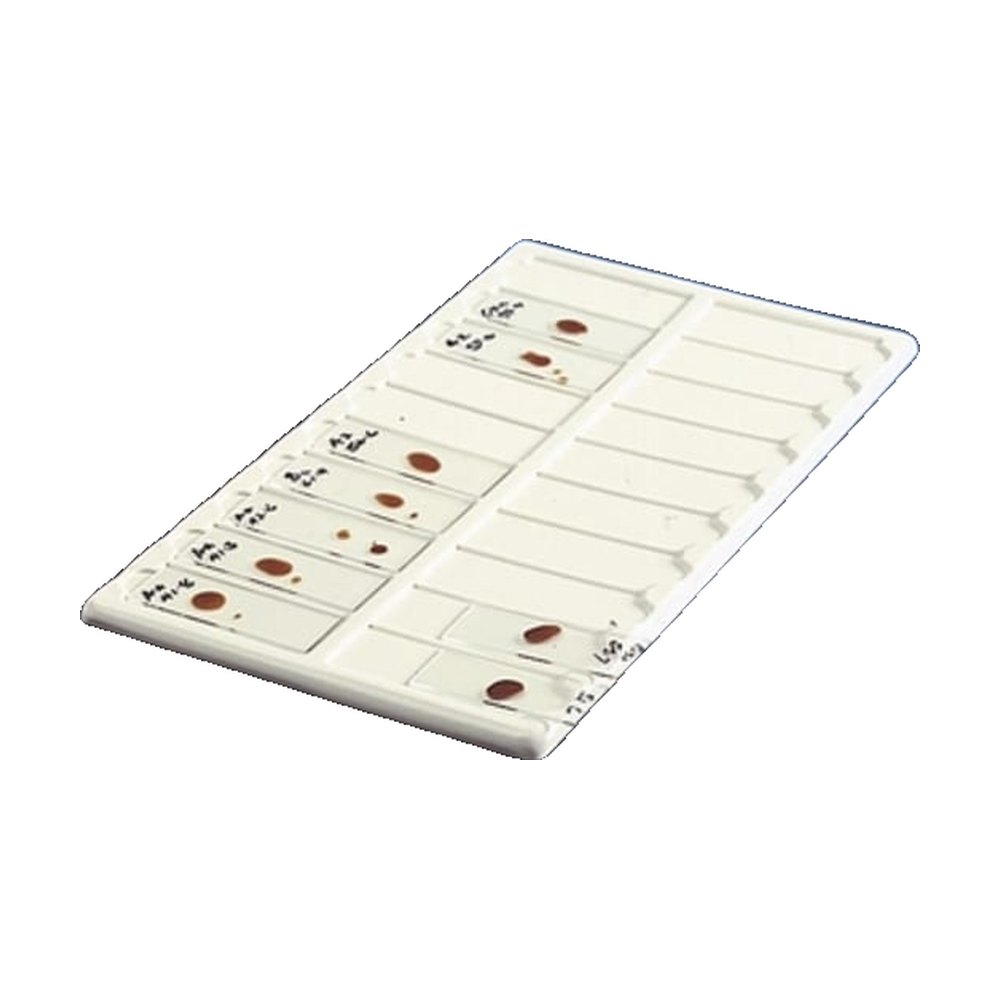 Kartell&trade;&nbsp;Plateau en PVC pour lames de microscope