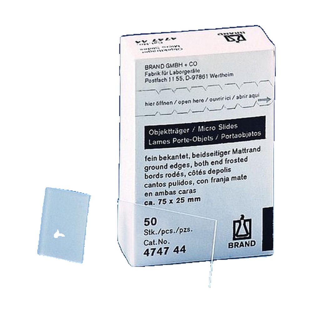 BRAND&trade;&nbsp;Lames de microscope moitié blanc