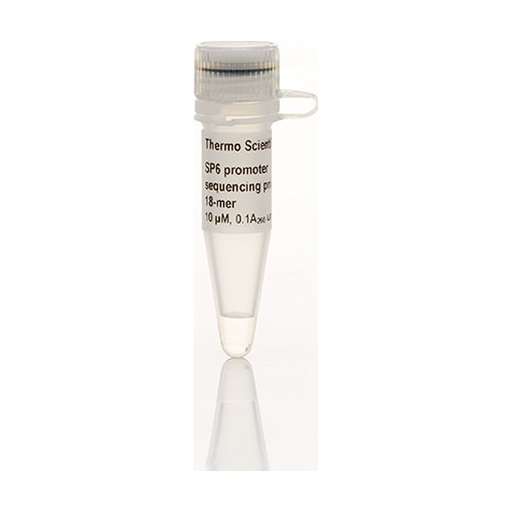 Thermo Scientific™ SP6 promoter Sequencing Primer, 18-mer