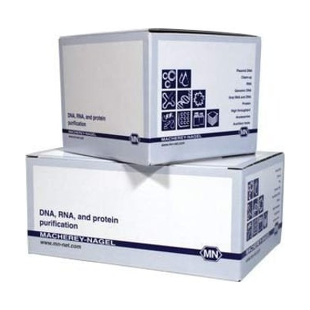 Macherey Nagel Bioanalysis&trade;&nbsp;Kit de base d’ARN NucleoSpin&trade; 8