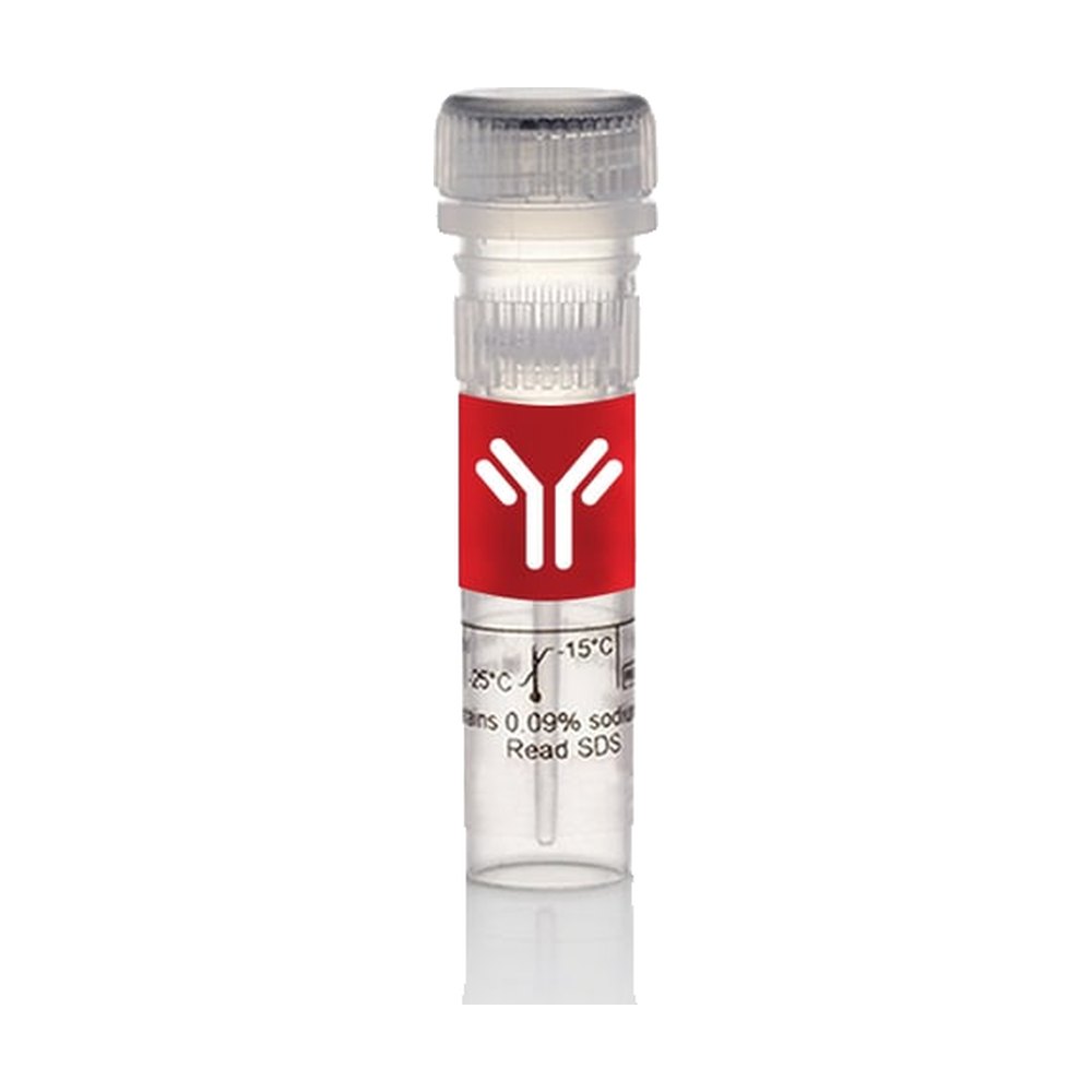 Invitrogen&trade;&nbsp;Peptide synthétique TLR11 de souris