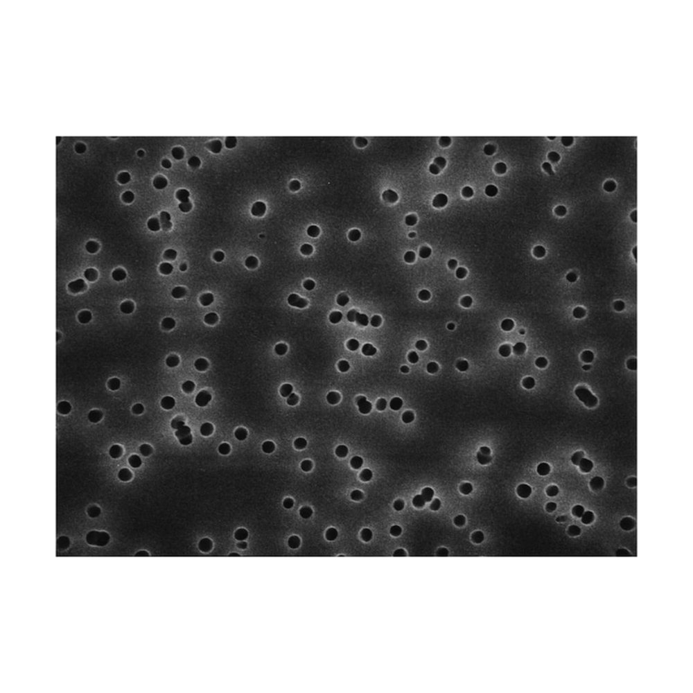 Merck&nbsp;Filtres à membrane Isopore&trade;, 5 &mu;m
