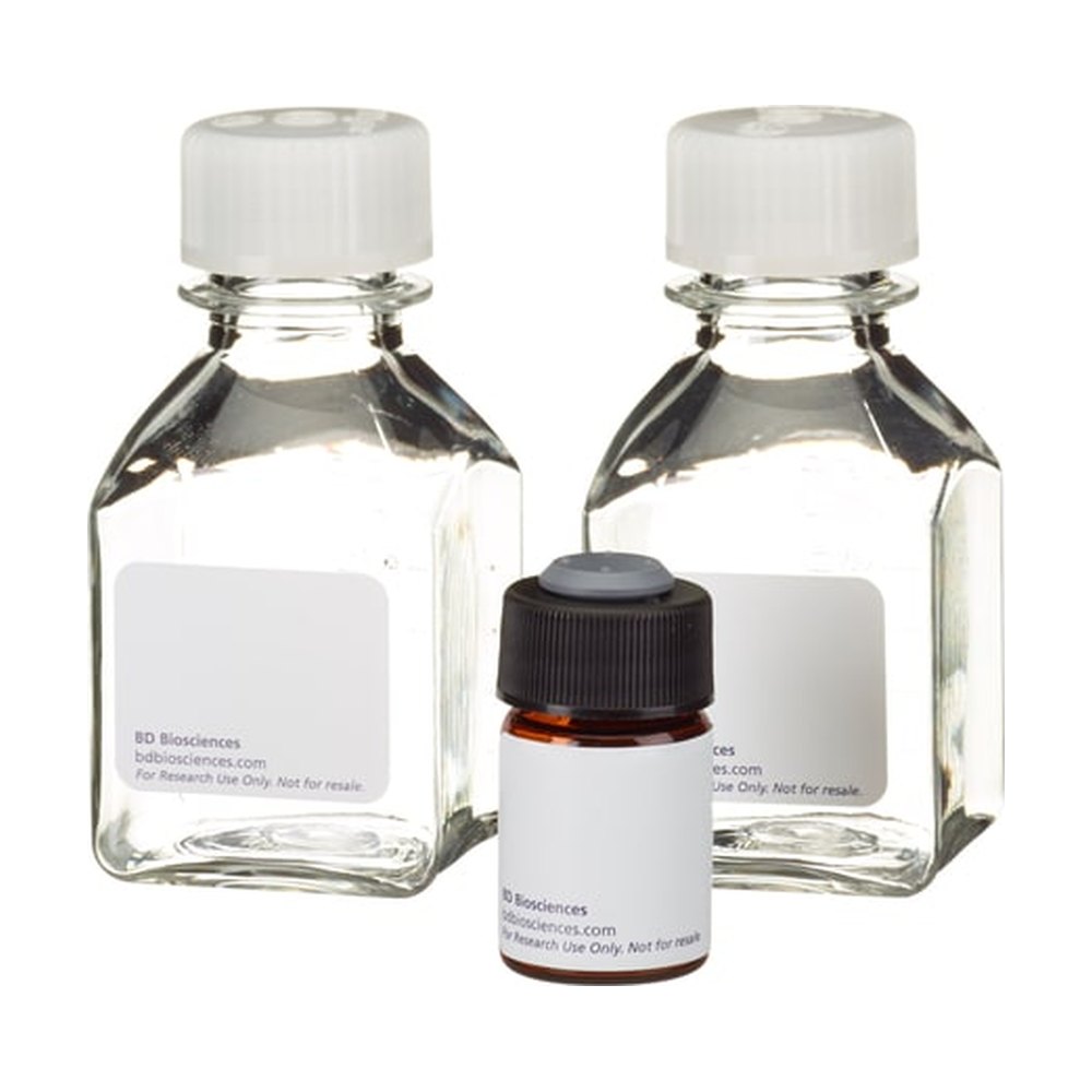 BD&nbsp;Annexine V : Kit de microscopie par fluorescence FITC