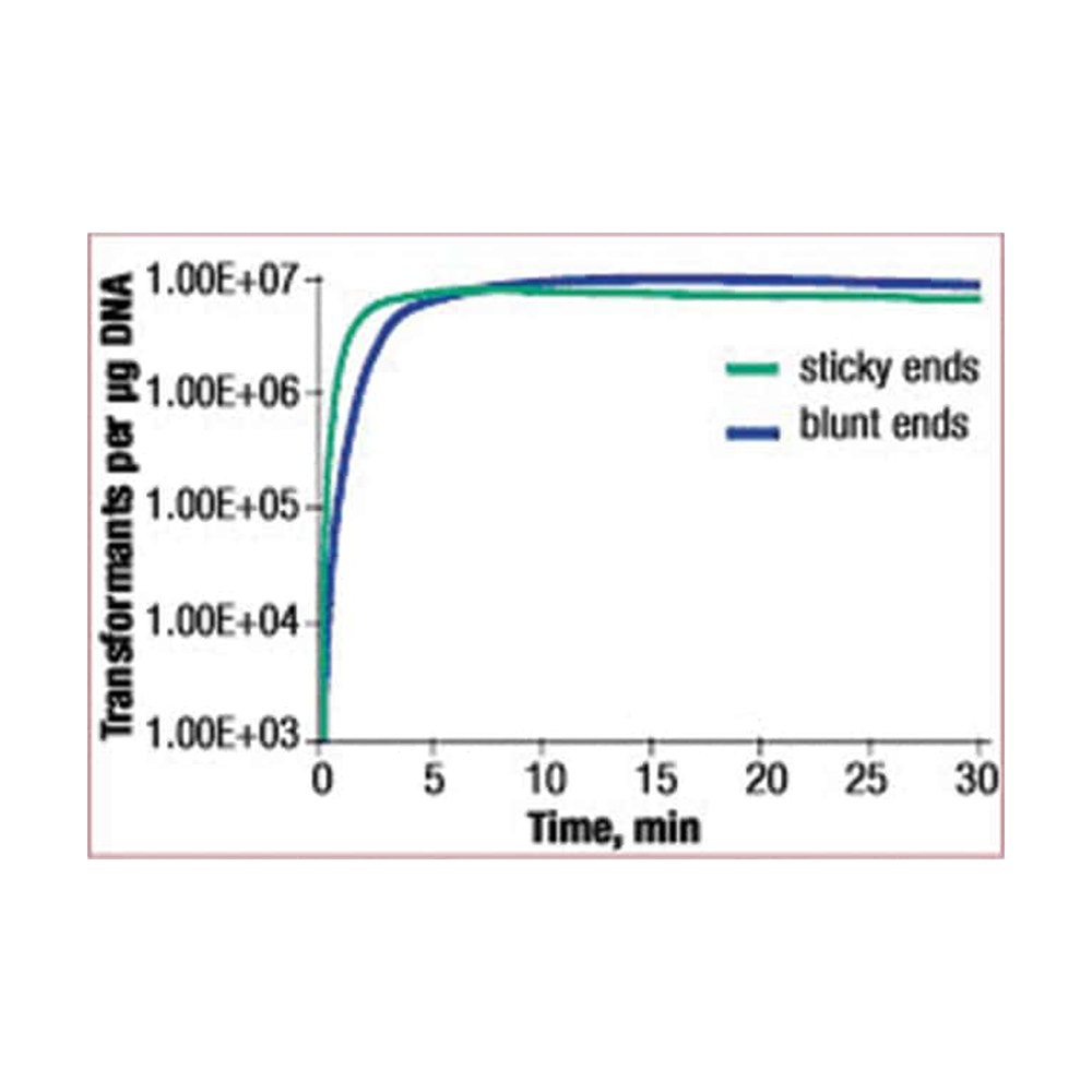 Thermo Scientific&trade;&nbsp;Rapid DNA Ligation Kit Promotion