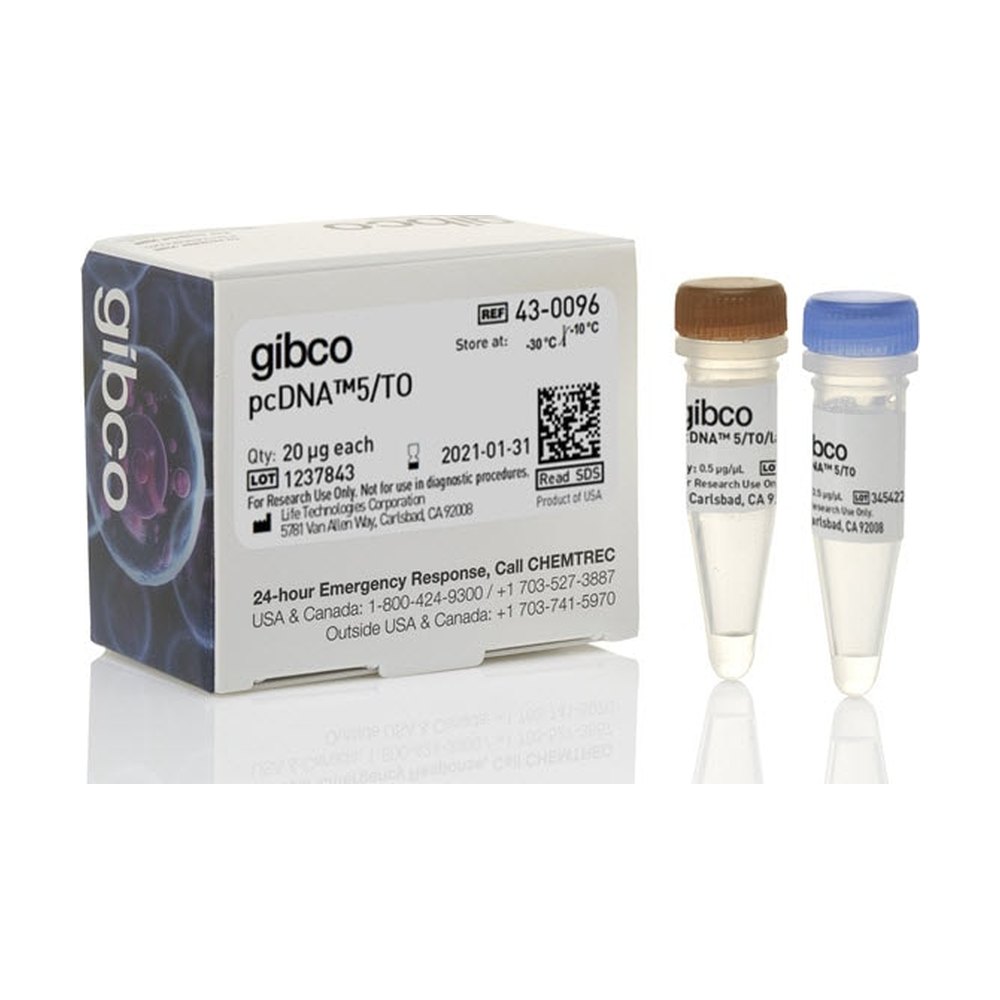 Invitrogen&trade;&nbsp;pcDNA&trade;5/TO Mammalian Expression Vector