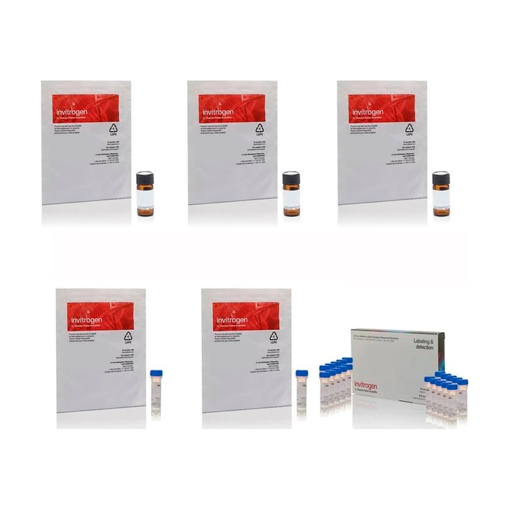 Thermo Scientific&trade;&nbsp;Kit de peinture cellulaire Image-iT&trade;