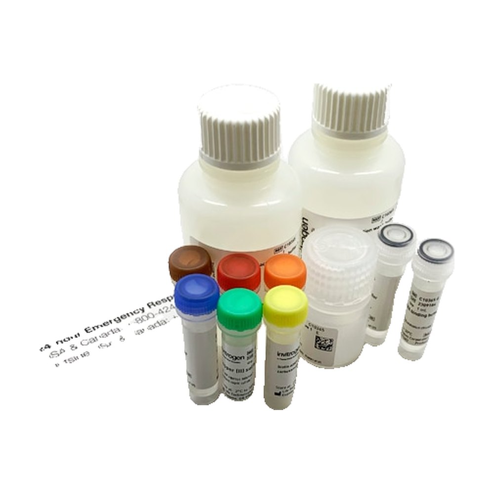 Invitrogen&trade;&nbsp;Kit de capture de l’ARN naissant Click-iT&trade;, pour analyse de l’expression génétique