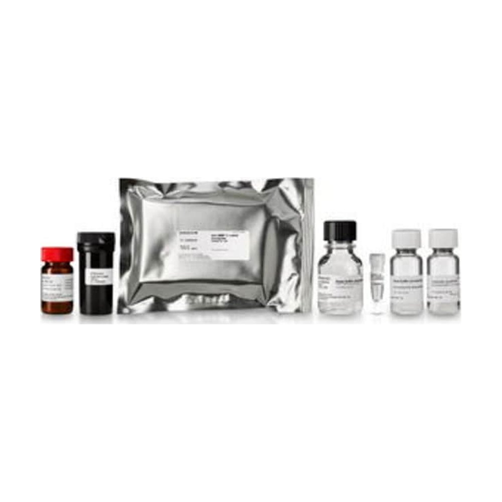 Cytiva&nbsp;Test d’activité de la MMP-2 BioTraktrade;